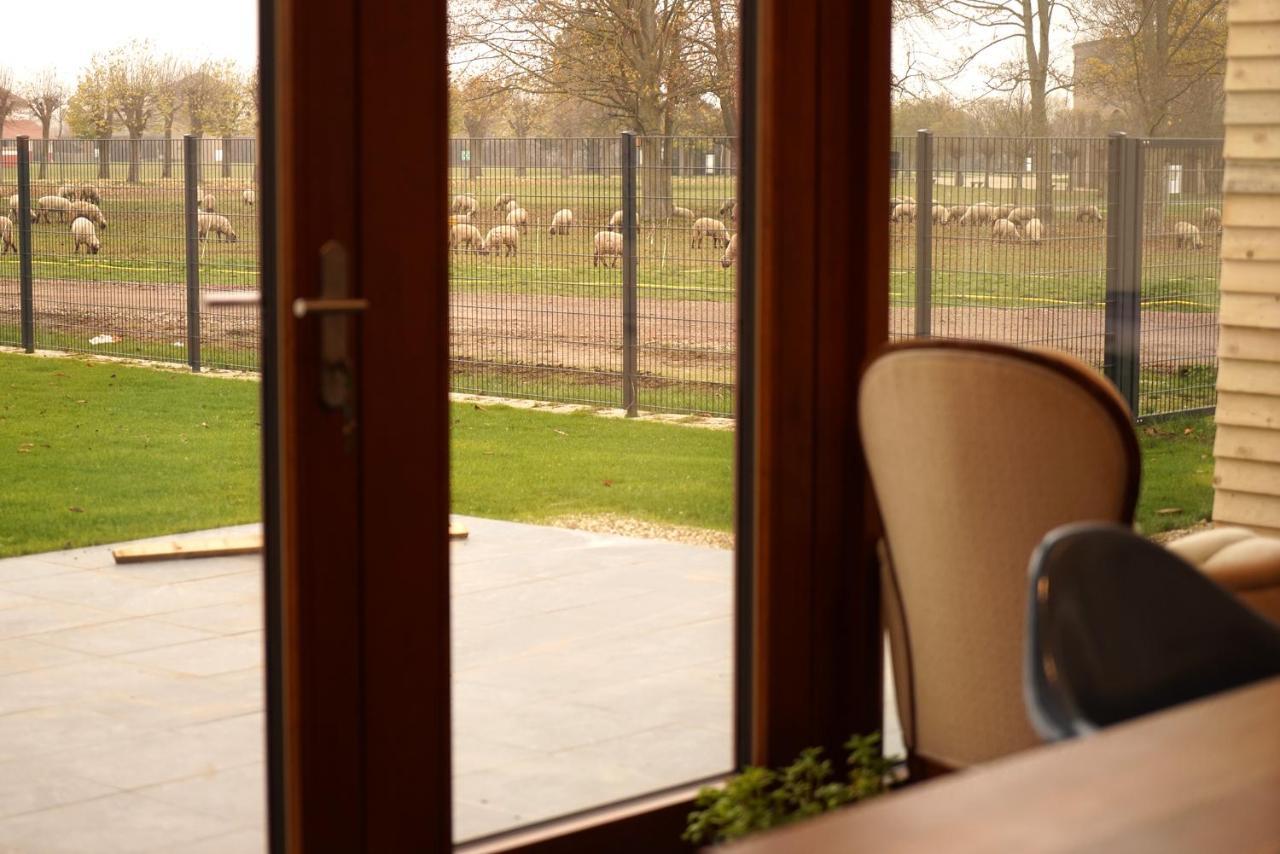 Stille, Aussicht Und Kunst Am Archaeologischen Park Homestay